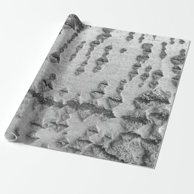 Papier Cadeau Motif d'écorce de bouleau (Déroulé)