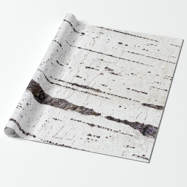 Papier Cadeau Motif d'écorce de bouleau (Déroulé)