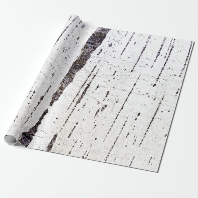 Papier Cadeau Motif d'écorce de bouleau (Déroulé)