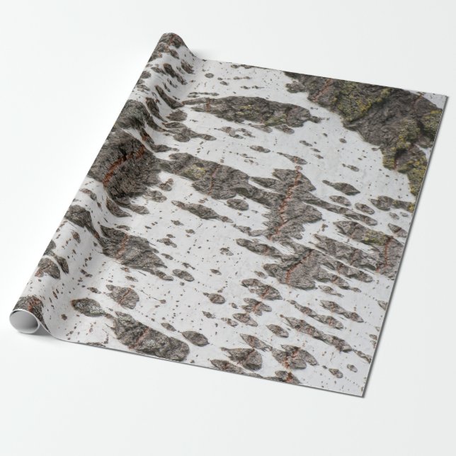 Papier Cadeau Motif d'écorce de bouleau (Déroulé)