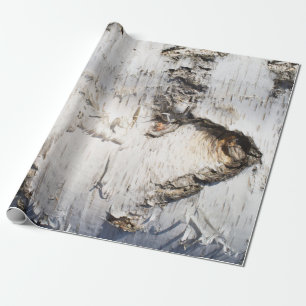 Papier Cadeau Motif d'écorce de bouleau