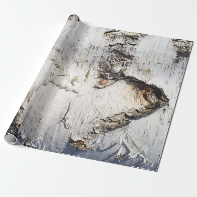 Papier Cadeau Motif d'écorce de bouleau (Déroulé)