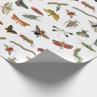 Motif d'illustration coloré d'insectes Vintages