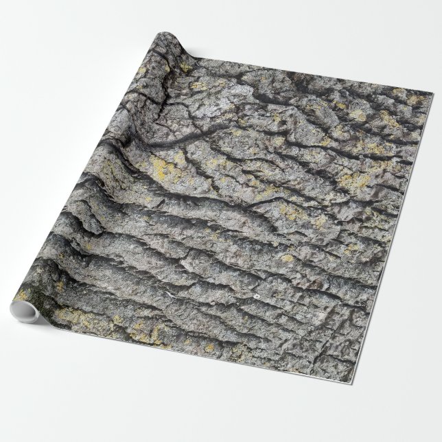 Papier Cadeau Motif en bois écorce (Déroulé)
