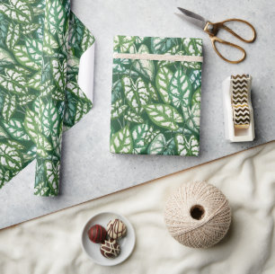 Papier Cadeau Motif Feuille vert tropical