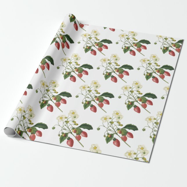Papier Cadeau Motif fraise (Déroulé)