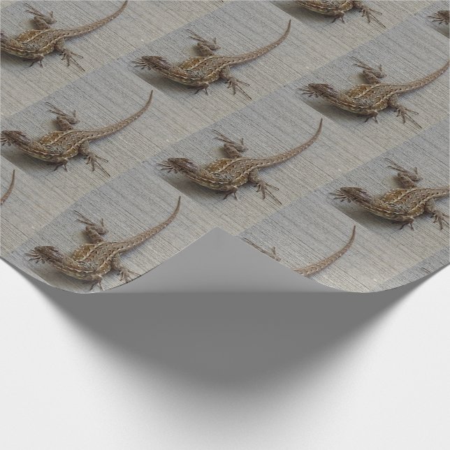 Papier Cadeau Motif photo Lizard (Coin)