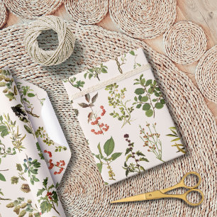 Papier Cadeau Motif Plante vintage Herbarium Green