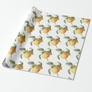 Papier Cadeau Motif pomme Calville