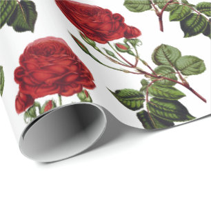 Papier Cadeau Motif romantique de Roses rouges