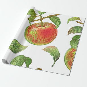 Papier Cadeau Motif sans couture avec des pommes rouges. vinique