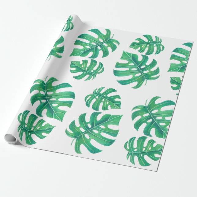 Papier Cadeau Motif tropical avec feuilles monstères (Déroulé)