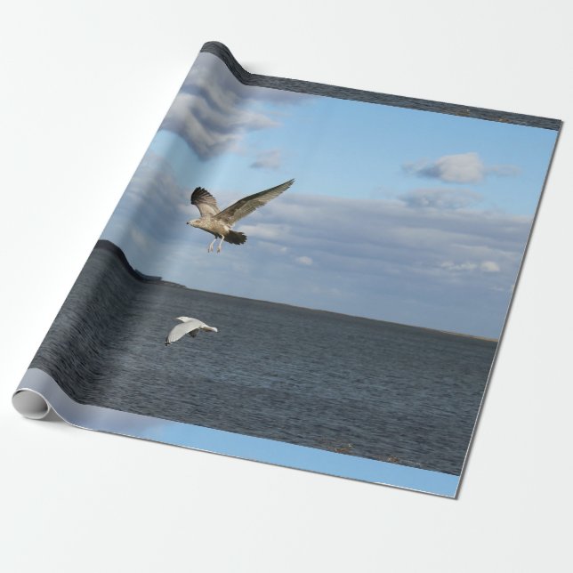 Papier Cadeau Mouettes en vol (Déroulé)