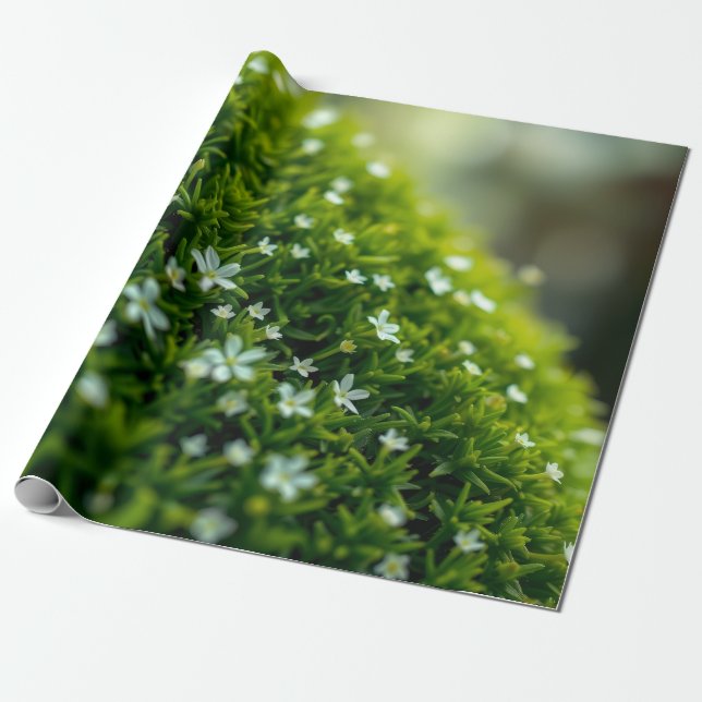 Papier Cadeau Mousse de la Forêt Enchantée de Printemps (Déroulé)