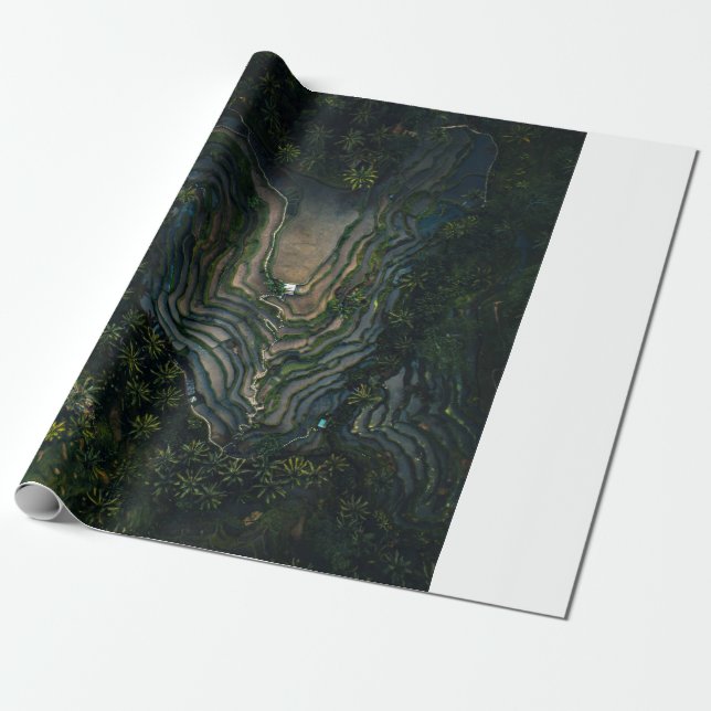 Papier Cadeau Mousse verte sur roche noire (Déroulé)