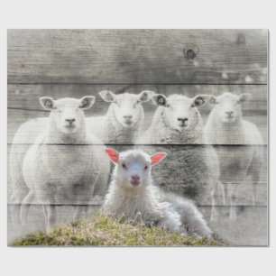 Papier Cadeau Mouton et agneau de bébé