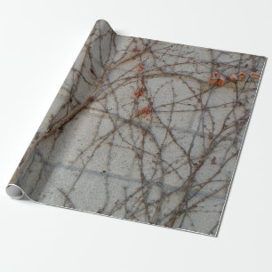 Papier Cadeau Mur de bloc de béton avec des vignes