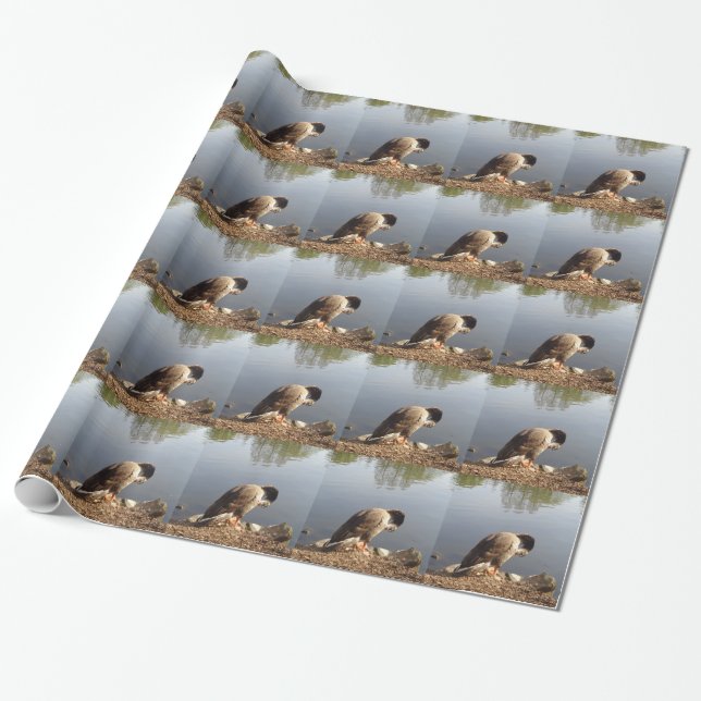 Papier Cadeau Namaste Goose arcs tête, Nature, Faune, Oiseaux (Déroulé)