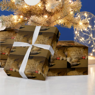 Papier Cadeau Nap de chat