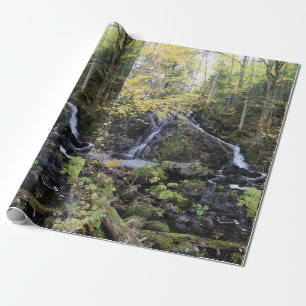 Papier Cadeau Nature
