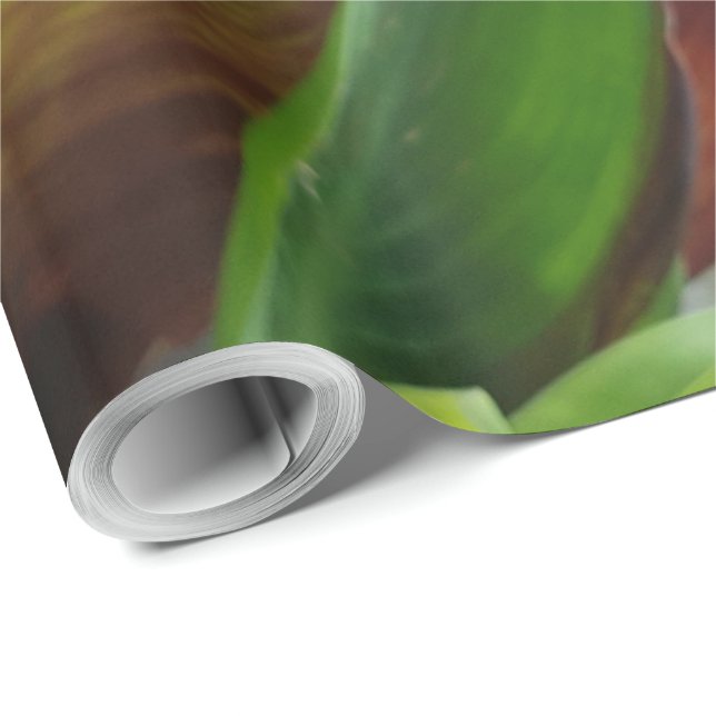 Papier Cadeau Nature Fleur Rouge Photographie Florale (Coin rond)