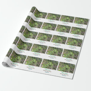 Papier Cadeau Nature plante photographie plage eau nom de voyage