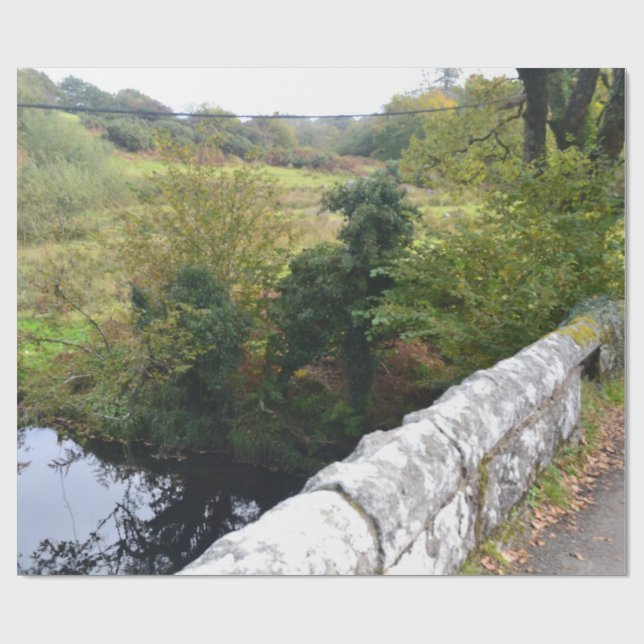 Papier Cadeau nature way of impersonating animals (Plat)