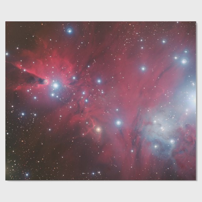 Papier Cadeau NGC 2264 et la grappe d'arbres de Noël (Plat)