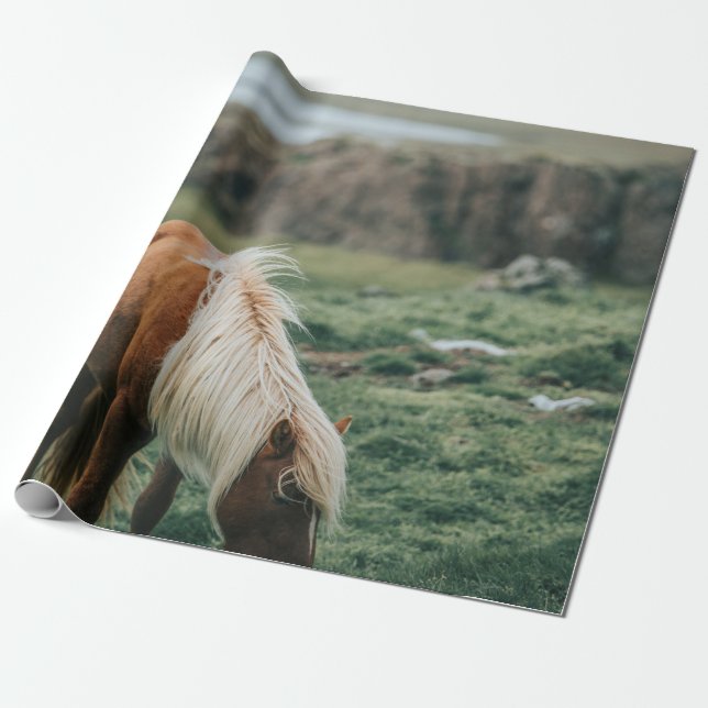 PAPIER CADEAU NICE HORSE (Déroulé)