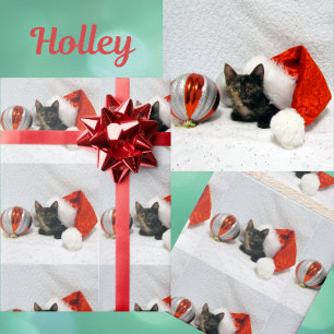 Papier Cadeau Noël de Holley - Torti Cat Christmas