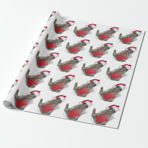 Papier Cadeau Noël du Raton Laveur Bandit de Santa