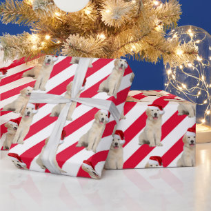 Papier Cadeau Noël Golden Retriever On Stripes