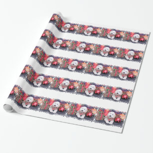Papier Cadeau Noël - griffonnage - Tripp