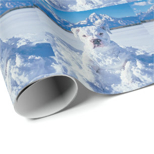 Papier Cadeau Noël Pitbull Chien Snowman