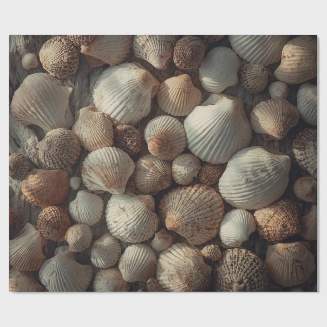 Papier Cadeau Noël sur la plage aux coquillages vintage (Plat)