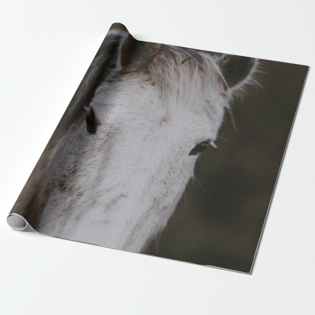 PAPIER CADEAU NOUVELLE FORÊT PONY (Déroulé)