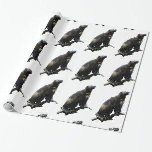 Papier Cadeau Observation des étoiles Wolverine