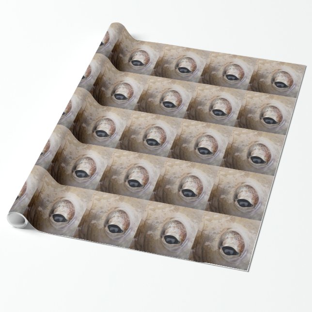 Papier Cadeau OEil octopique (Déroulé)