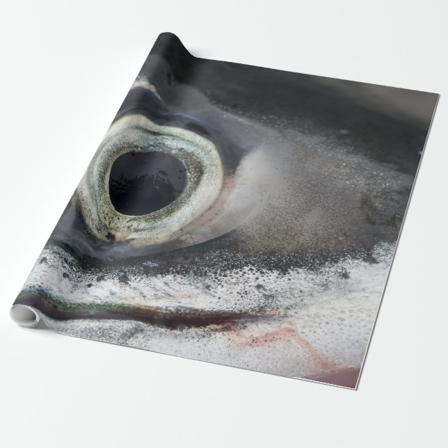 Papier Cadeau Oeil saumon (Déroulé)