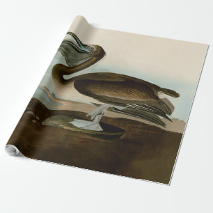 Papier Cadeau Œuvre d'art de Pélican Brun de John James Audubon