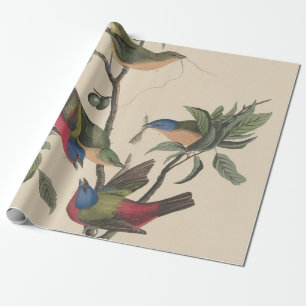 Papier Cadeau Oeuvre d'art vintage d'oiseau coloré de Audubon, B