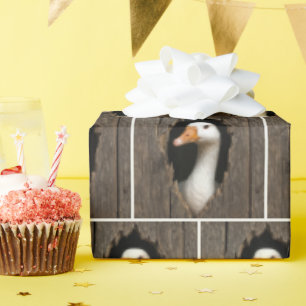 Papier Cadeau Oie Blanche À Partir Du Trou En Bois Déchiré