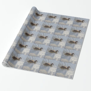 Papier Cadeau Oie sauvage nageant dans le lac, Nature, Oiseau