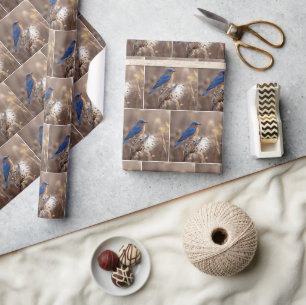 Papier Cadeau Oiseau bleu sur une gousse de asclépiade