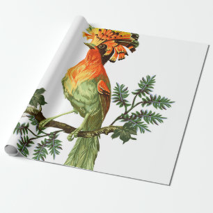 Papier Cadeau Oiseau de Paradis et fleurs exotiques sur un fond 