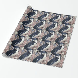 Papier Cadeau Oiseau de pingouin mignon animal noir eau blanche