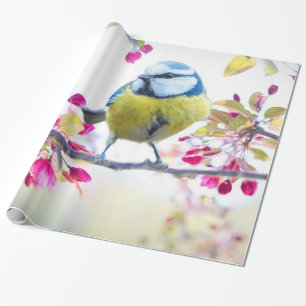 Papier Cadeau Oiseau mignon