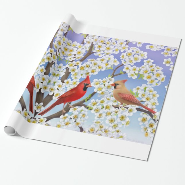 Papier Cadeau Oiseaux cardinaux dans l'enveloppe de cadeau de (Déroulé)
