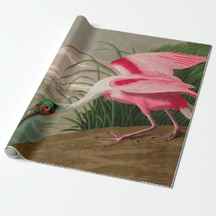 Papier Cadeau Oiseaux d'Amérique de spatule de rose Audubon Imp