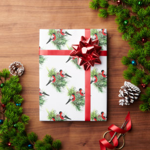 Papier Cadeau Oiseaux d'hiver